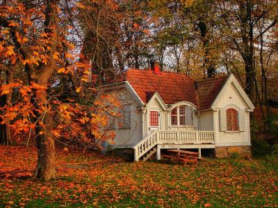 Nací en otoño - Alex Quaranta